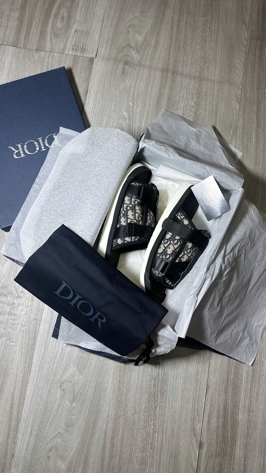 Dior Alpha Oblique slides